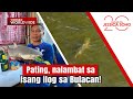 Pating Nalambat Sa Isang Ilog Sa Bulacan Kapuso Mo Jessica Soho