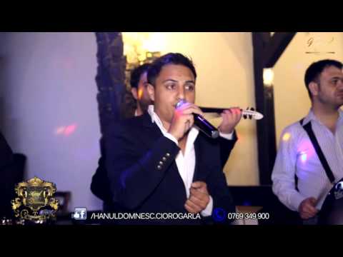 CRISTI MEGA - COLAJ MANELE LIVE (HANUL DOMNESC)