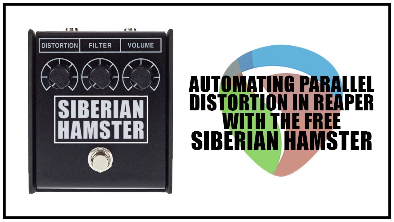 Video 19405019-eec4-4f1a-8b8b-3b1fb981d7db