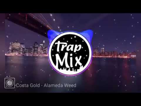 Costa Gold   Alameda Weed Mix Rave