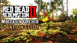 All 10 Moccasin Orchid - Location Guide | Red Dead Redemption 2