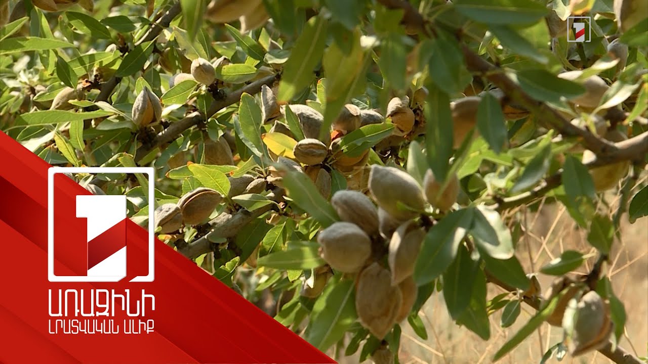 Գյուղարտադրանքից շահութահարկ չվճարելու արտոնությունը կերկարաձգվի մինչև 2030-ը