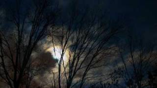 Amparanoia - Camaleón