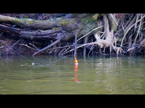 Early Spring Steelhead BOBBER DOWNS! - Small Water Float Fishing 2025