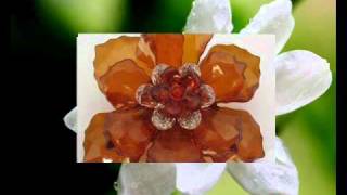 Download lagu Melati - Elven Band.wmv mp3