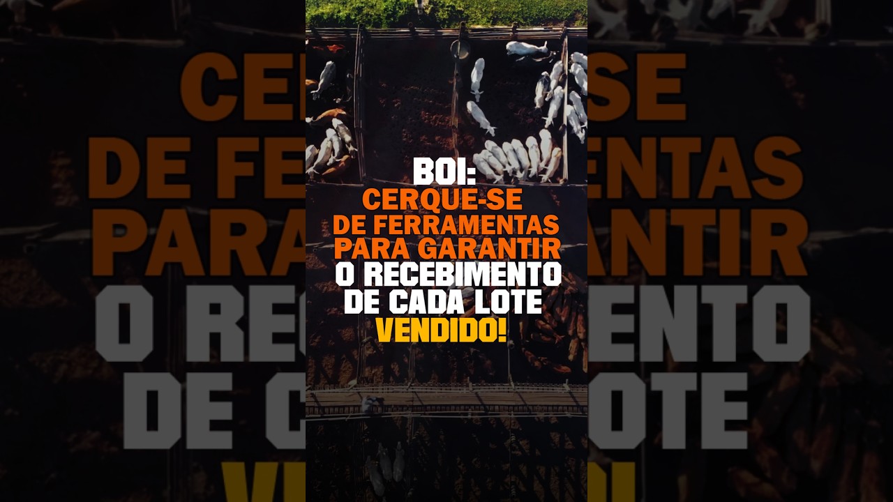 BOI: CERQUE-SE DE FERRAMENTAS PARA GARANTIR O RECEBIMENTO DE CADA LOTE VENDIDO!