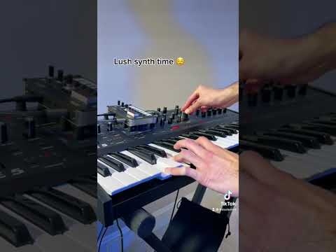 Sequential Take 5 + Korg NTS-1 chill jam! #synth #jam #chillmusic