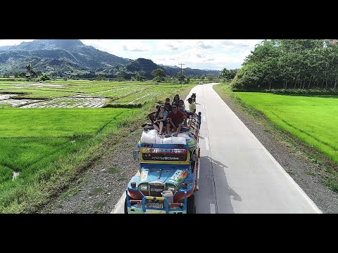 VOLUNTEER by Morgane Quiguer & Louie Talents