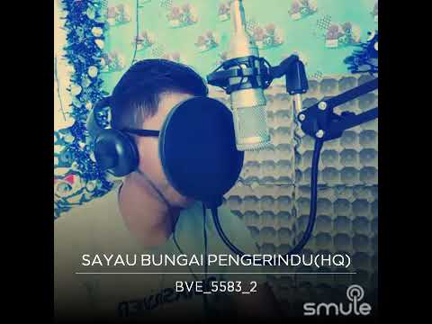 Sayau bungai pengerindu cover by alexander