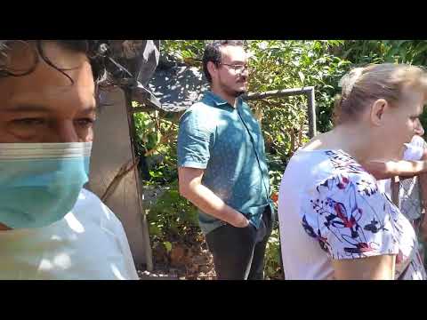 Visitando Quinta en Rosario de Mora San Salvador, Gloria Artiga propetaria,cabritas, belly goats 🐐 