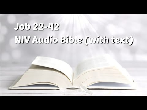 Job 22-42: NIV Audio BIBLE (with text)