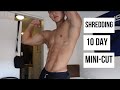 My 10 Day Mini-Cut