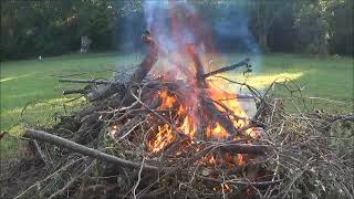 Building a Fire to Burn Green Wood