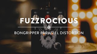 Fuzzrocious Bongripper Parallel Distortion | Reverb Gear Demo