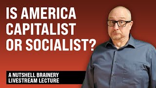 Is America Capitalist or Socialist? - Module 8