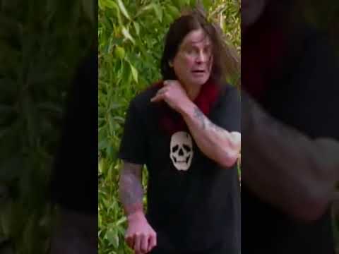 Ozzy Osbourne looking for a cat.