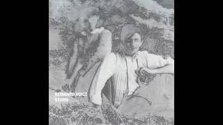 Sturm (Reinhard Voigt) - Sturm (1999), Mille Plateaux, Full Album