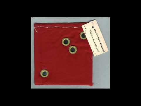 The Sleeping Bear - Natural Snow Buildings