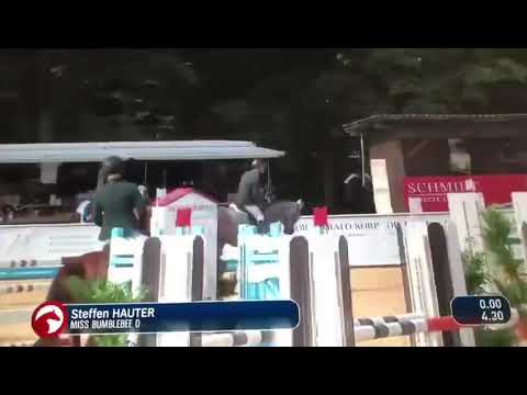 7 yo sold 👍Van Gogh x corrado mare for sale ✈️