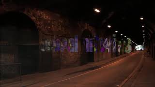 Dolly - Animal Nitwits