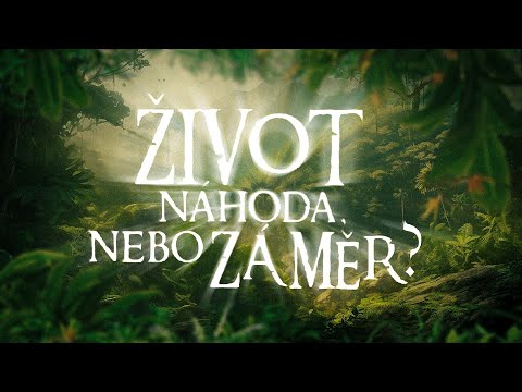 Život – náhoda, nebo záměr? | DOKUMENT (2008)