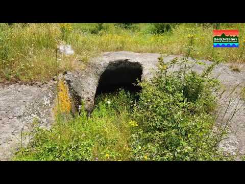 La Necropoli del Ferrone, tra Tolfa e Stigliano