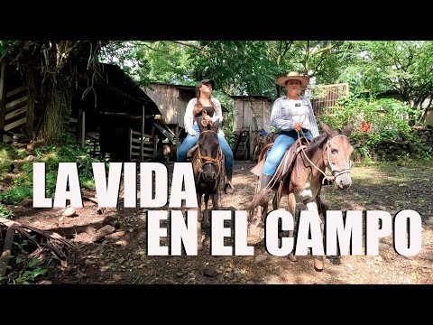 This is LIFE in the COUNTRYSIDE in NICARAGUA, love for WORK and NATURE 🇳🇮 🍽️ 🤤🌏 🎥 🍃