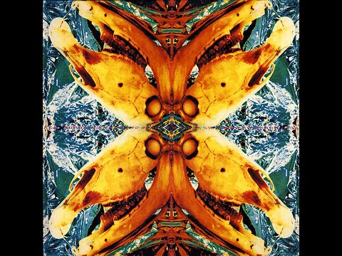 ACID HORSE (Ministry & Cabaret Voltaire) - No Name, No Slogan (MINISTRY Mix)