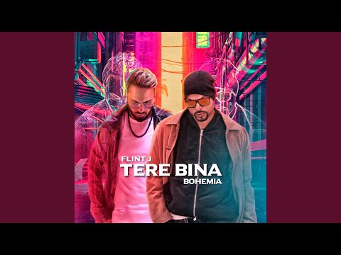 Tere Bina