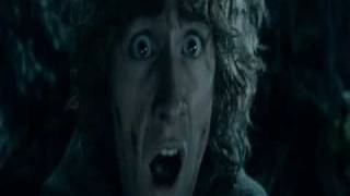 Lord of the rings - My wishing tree