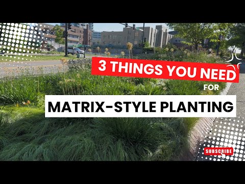 3 things you need for Matrix-style planting 3️⃣#beginnergardening #gardendesign #gardeningtips