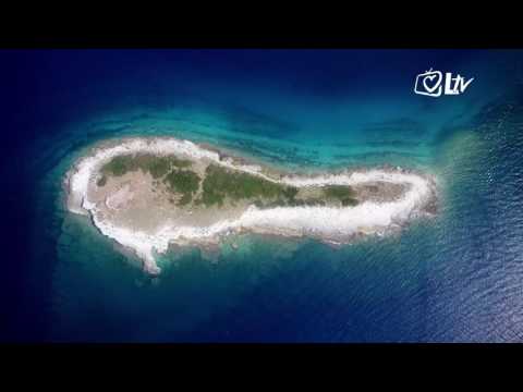 Izdvojeno 21.12.2016. - Fotomonografija ''Nacionalni park Brijuni''