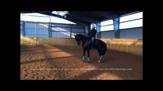 Video koně neznámé