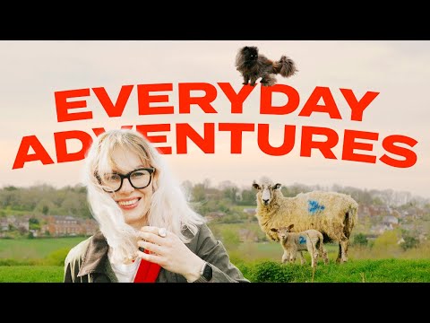 the joy of ✨everyday adventures✨ living on a narrowboat