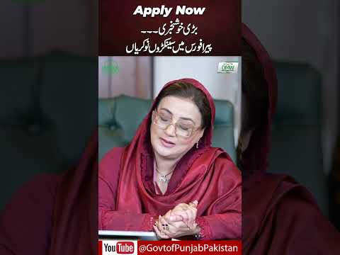 Jobs In PERA | Govt of Punjab Initiative | #shortsfeed #jobseekers