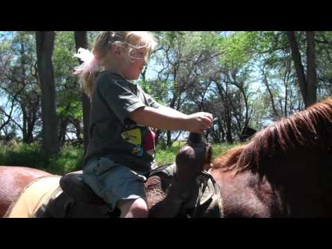 Horsin' Around (YTO 341)