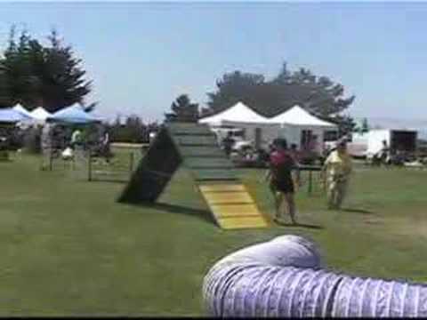 Kindle's First USDAA Show