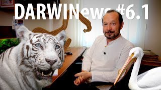 Францию захватили черви, как появились белые тигры, король-океанограф #DARWINews 6.1 фото