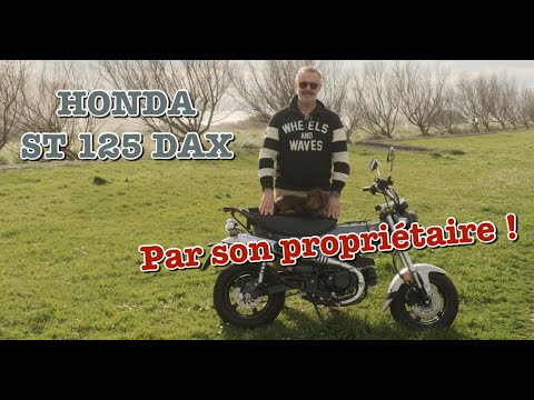 Honda ST125 DAX. Test und Bericht meines Besitzers. Ich mag ❤️