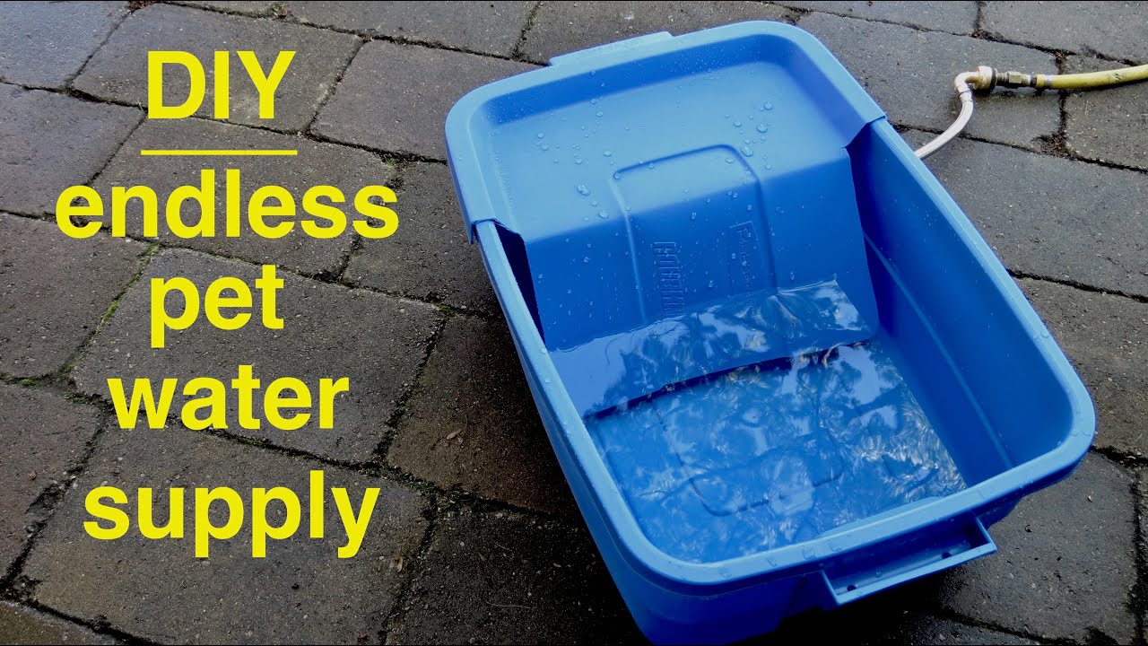 Watch video DIY ● Endless Dog Water Supply Now DIY ● Endless Dog Water Supply