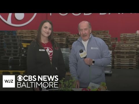 Where’s Marty: Maryland Food Bank talks nutrition program during National Nutrition Month