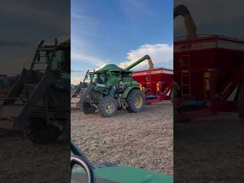 Colheita de Soja em Roraima ano 2025 região Bonfim #agro #roraima #soja