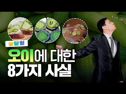 오이, 당신이 몰랐던 8가지 사실|농담짚