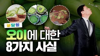 오이, 당신이 몰랐던 8가지 사실|농담짚