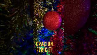 Crăciun Fericit! Merry Christmas!