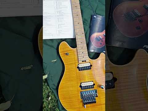 Peavey EVH Wolfgang with Floyd Rose 2004 - Transparent Amber w/paperwork image 23