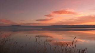 ROD STEWART   -  I WISH YOU LOVE
