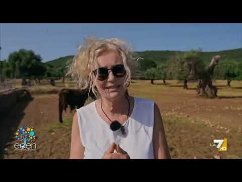 Crispiano e la Puglia delle 100 Masserie