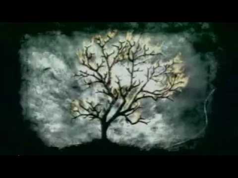 Poradnik Uśmiechu 29  Jak dotrzeć