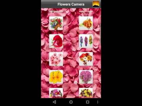 Flowers Frames Camera Video